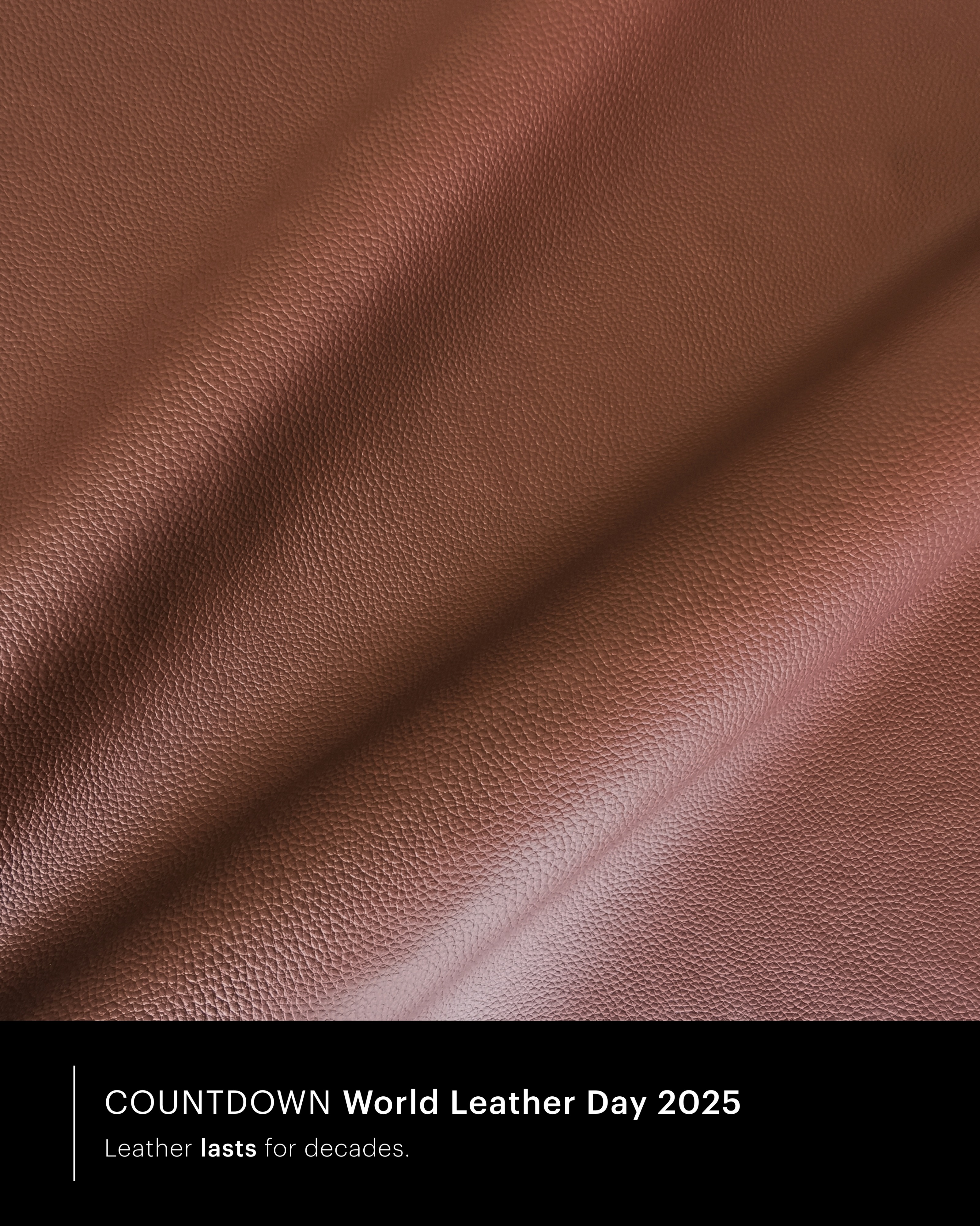 3_leather.jpg